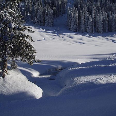Hotel Des Alpes Adelboden Eksteriør bilde