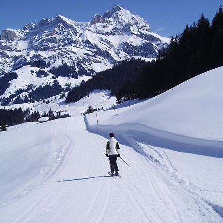 Hotel Des Alpes Adelboden Eksteriør bilde