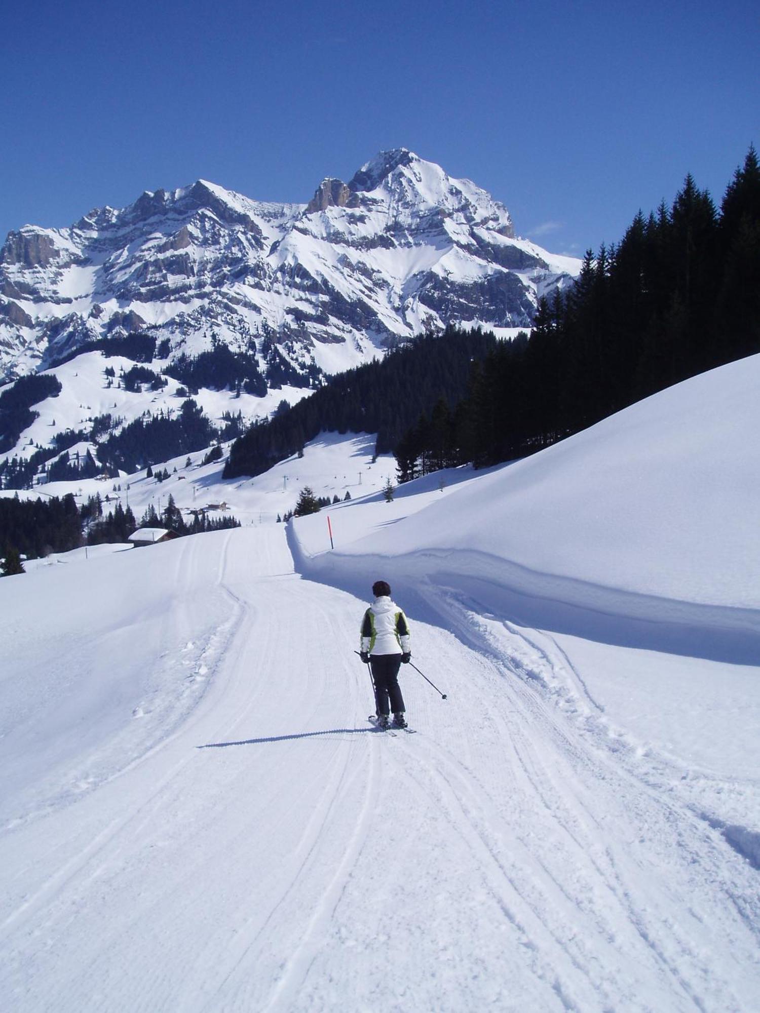 Hotel Des Alpes Adelboden Eksteriør bilde