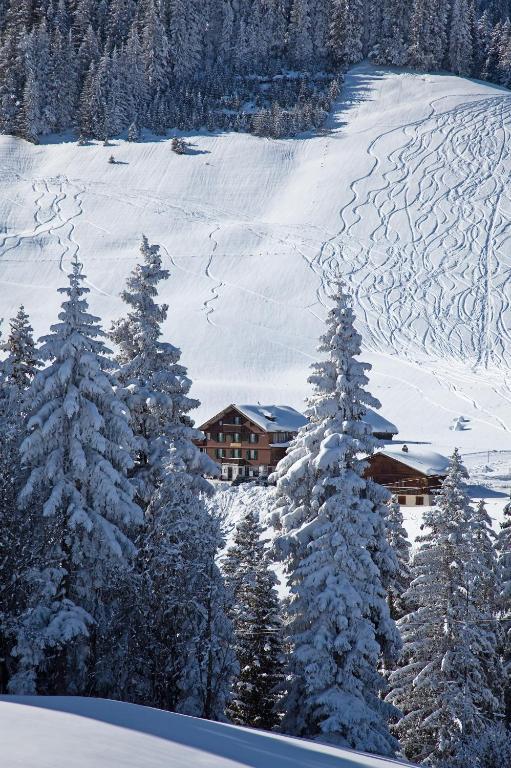 Hotel Des Alpes Adelboden Eksteriør bilde