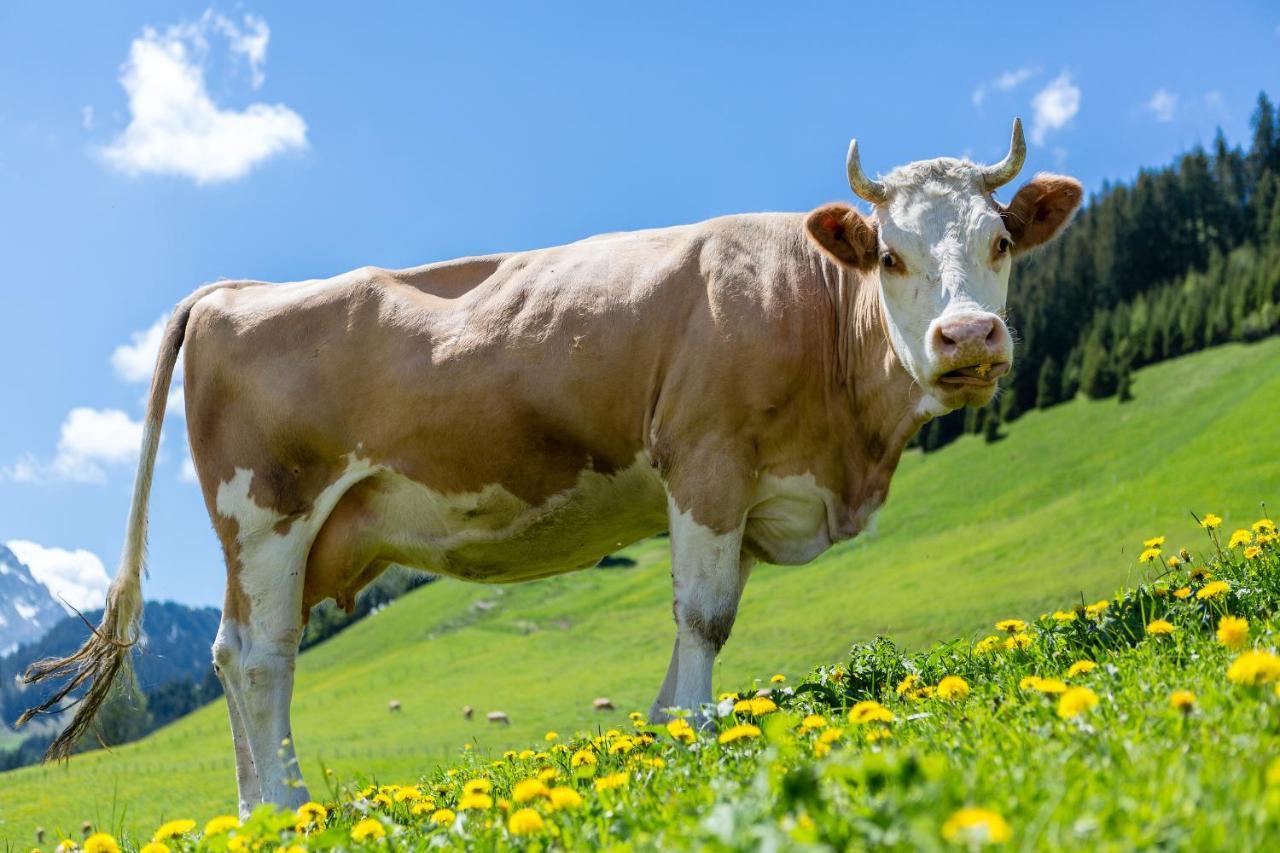 Hotel Des Alpes Adelboden Eksteriør bilde