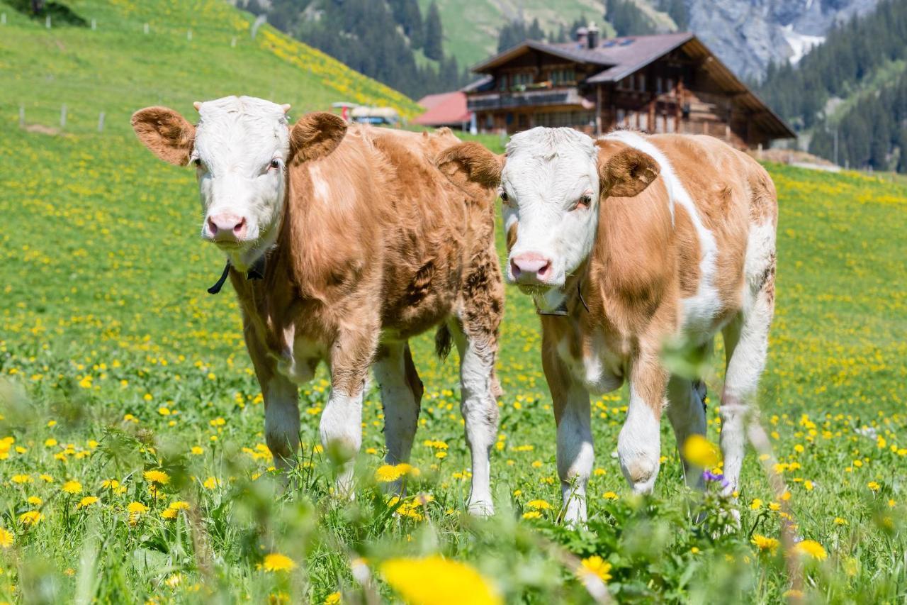 Hotel Des Alpes Adelboden Eksteriør bilde